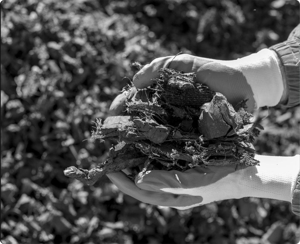 Soil in hand