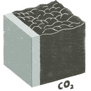 Carbon 2 1 300x300