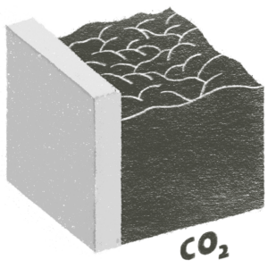 Carbon 5 300x300