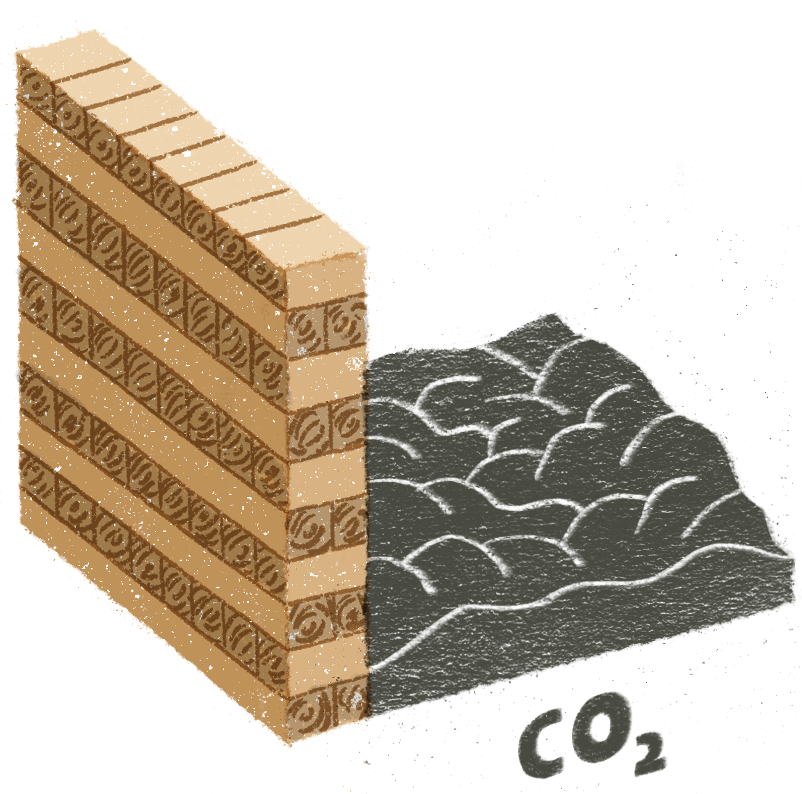 Carbon 1