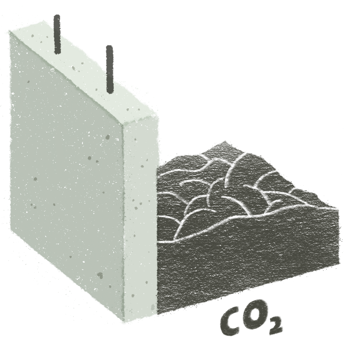 Carbon 8